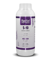 1L